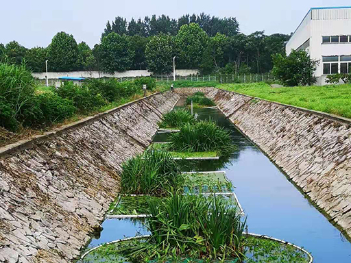 蕪湖市經開區2017年黑臭水體治理及維護